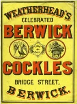 Berwick Cockles