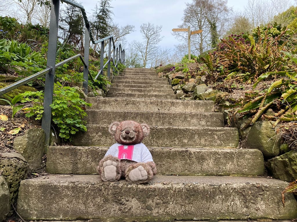 Image from iOS (1)
